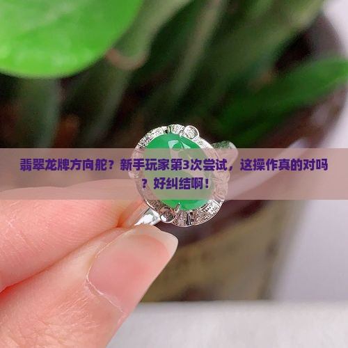 翡翠龙牌方向舵