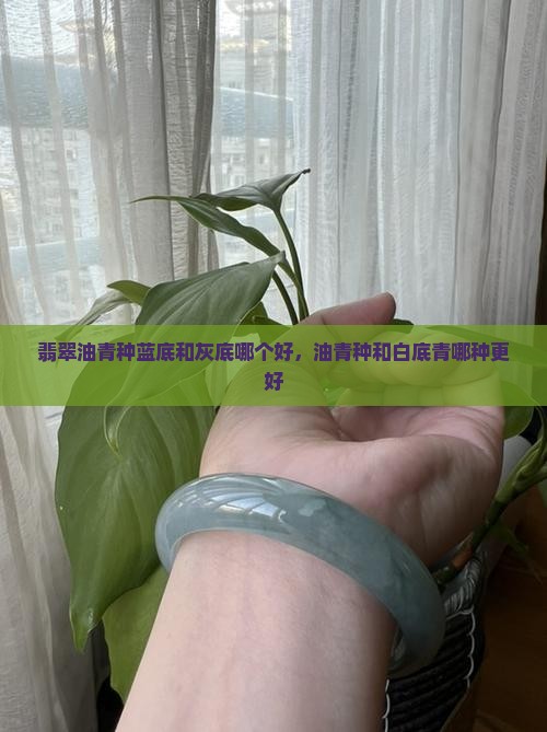 翡翠油青种蓝底和灰底哪个好