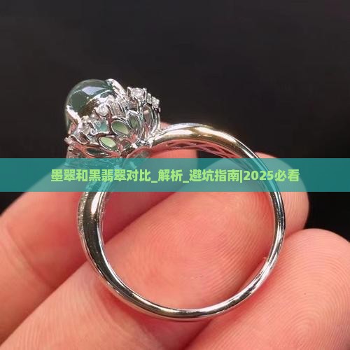 墨翠和黑翡翠对比