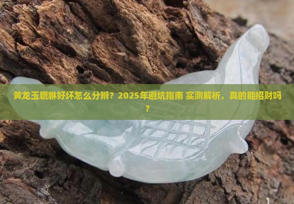 黄龙玉貔貅好坏怎么分辨的
