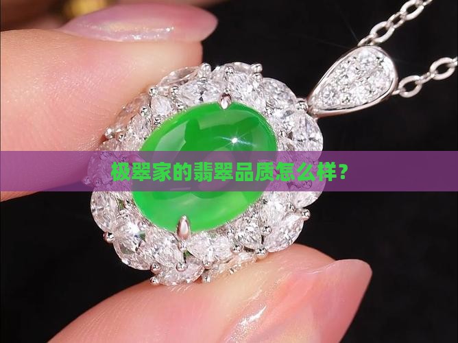 极翠家的翡翠品质