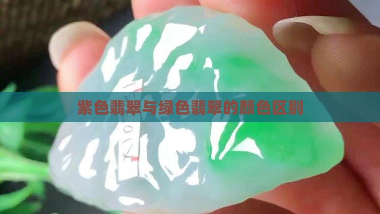 紫色蓝色绿色翡翠区别