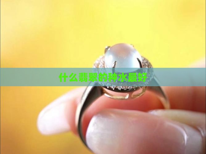 什么翡翠的水种最好