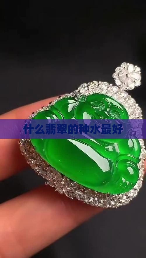 什么翡翠的水种最好