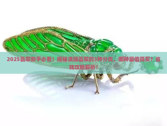 满绿翡翠分几种哪种好