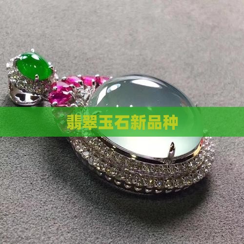 翡翠玉石新品种