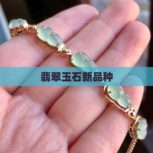 翡翠玉石新品种
