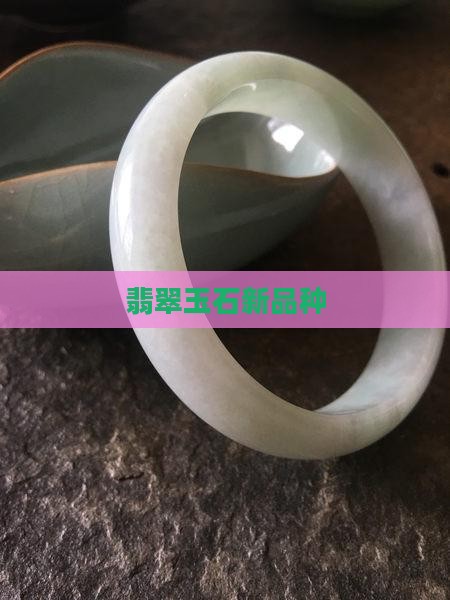 翡翠玉石新品种