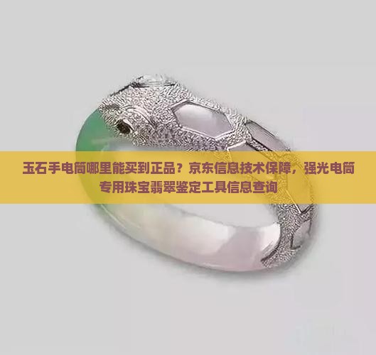 看玉石的手电哪里能买到正品