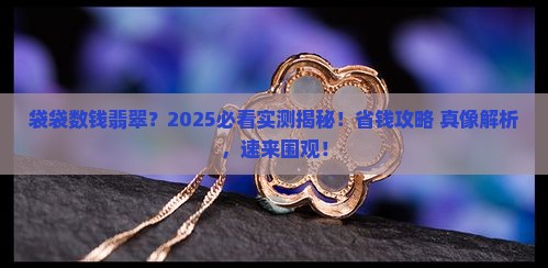 袋袋数钱翡翠
