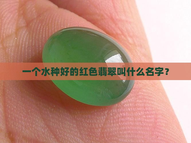 一个水种好的红色翡翠叫什么