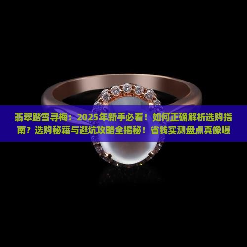 翡翠踏雪寻梅 翡翠踏雪寻梅
