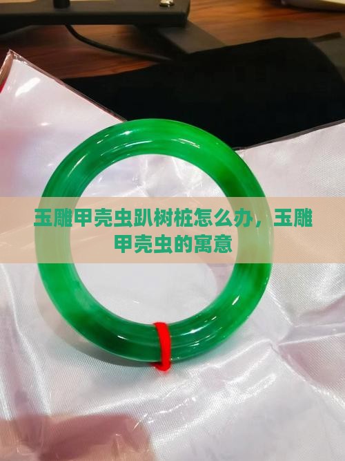 玉雕甲壳虫趴树桩