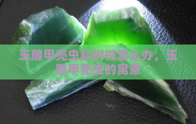 玉雕甲壳虫趴树桩