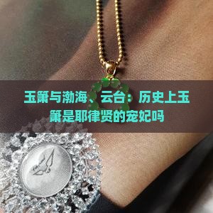 历史上玉箫是耶律贤的宠妃吗
