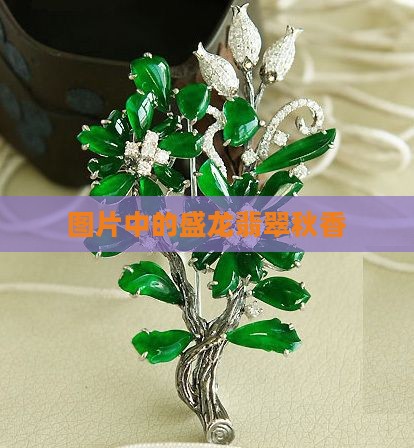 盛龙翡翠秋香