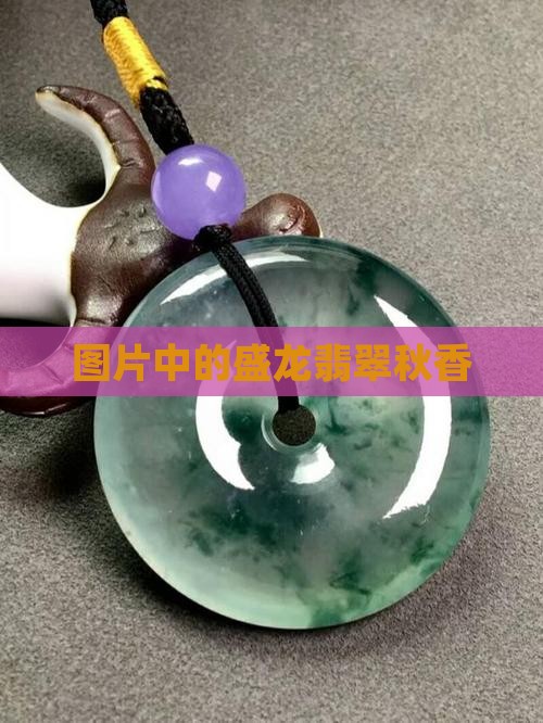盛龙翡翠秋香