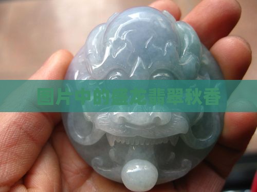 盛龙翡翠秋香