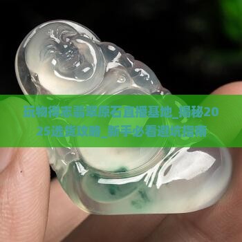 玩物得志翡翠原石直播基地