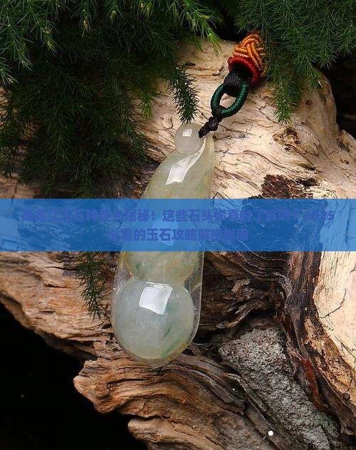 黑龙江玉石种类有哪些