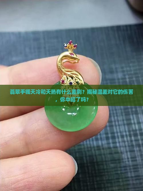 翡翠手镯天冷和天热有什么差别