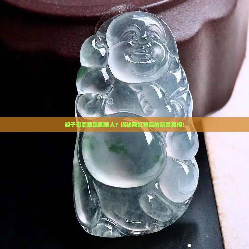 胡子哥翡翠是哪里人