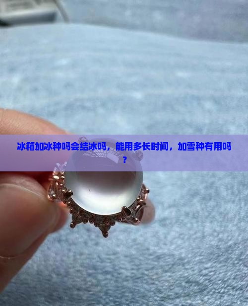 冰箱加冰种吗