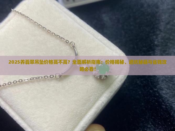 养翡翠吊坠价格高不高呢