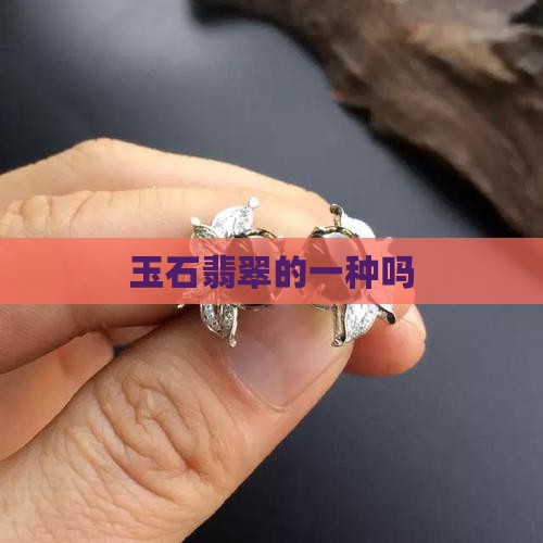 玉石翡翠的一种吗