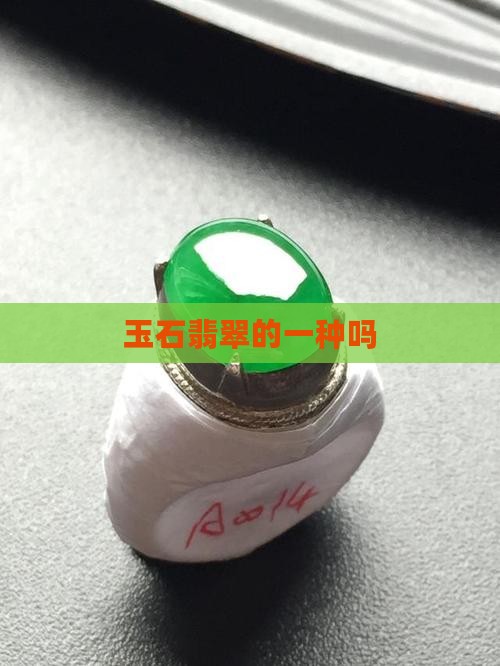 玉石翡翠的一种吗