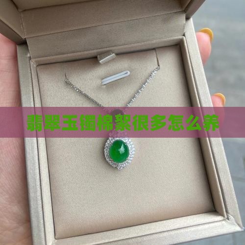 翡翠玉镯棉絮很多怎么养