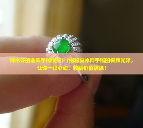 种水好的翡翠手镯很亮