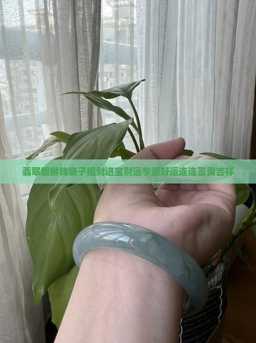 翡翠貔貅钱袋子