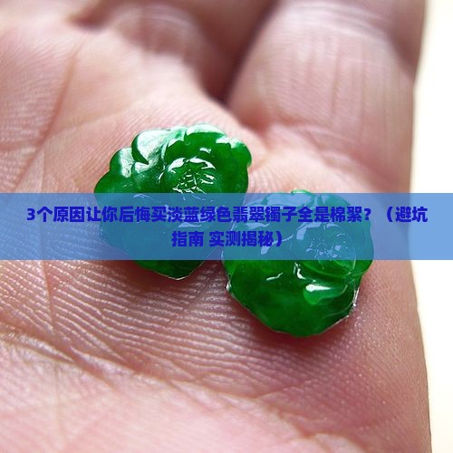 淡蓝绿色翡翠镯子全是棉絮