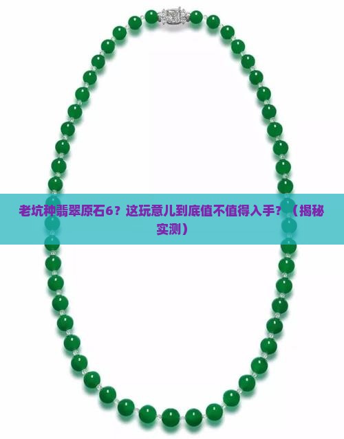 老坑种翡翠原石6