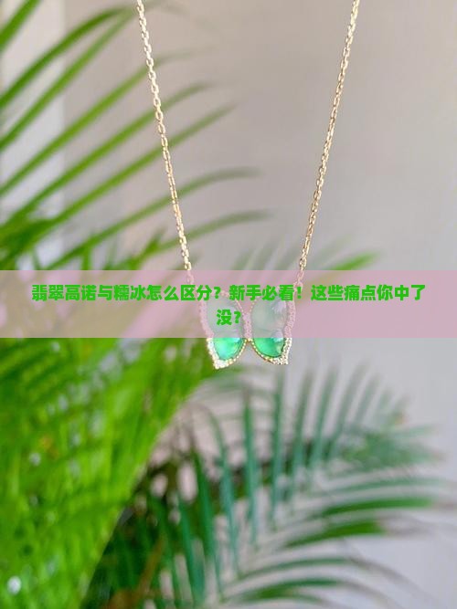 翡翠高诺与糯冰的区分
