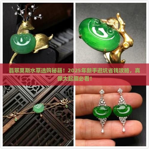 翡翠莫斯水草百科