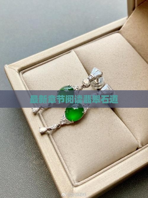 天天翡翠天萌读石道
