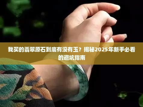 我买的翡翠原石怀疑没有玉