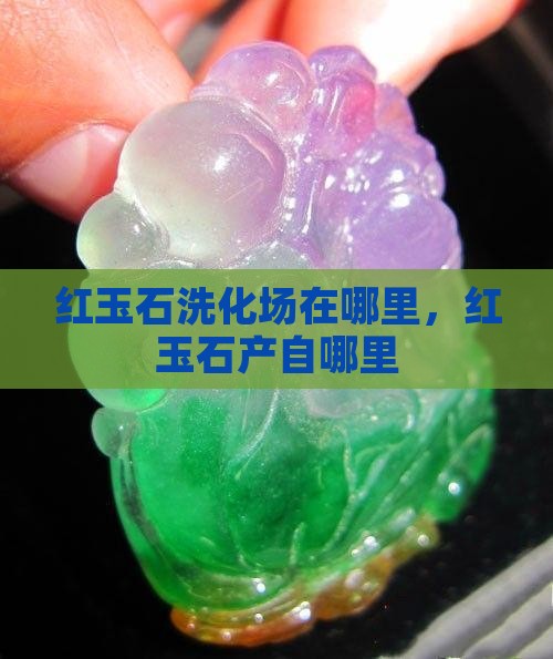 红玉石洗化批发市场在哪里