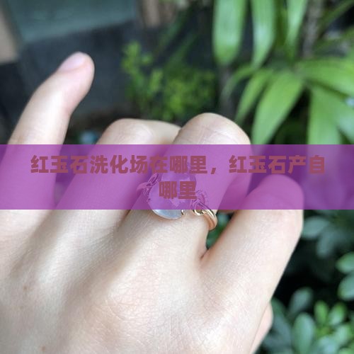 红玉石洗化批发市场在哪里