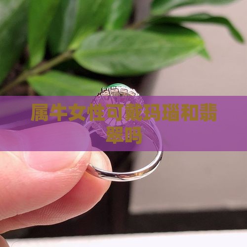 属牛女性可戴玛瑙和翡翠吗