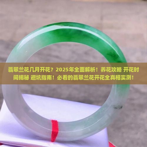 翡翠兰花几月开花