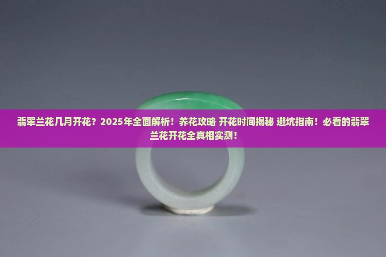 翡翠兰花几月开花