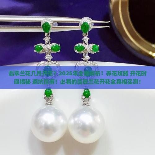 翡翠兰花几月开花