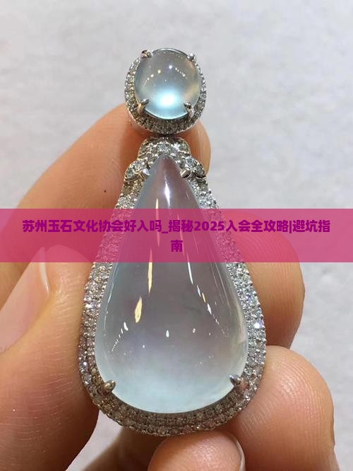 苏州玉石文化协会好入吗