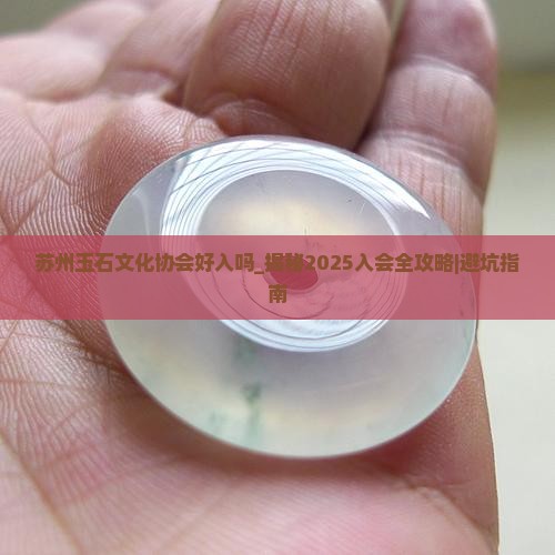 苏州玉石文化协会好入吗