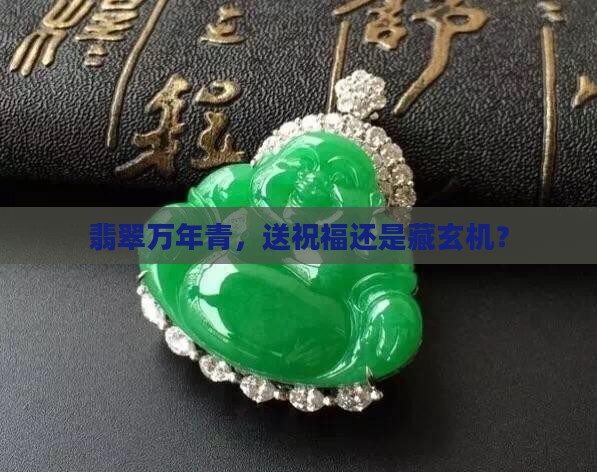 翡翠万年青的寓意