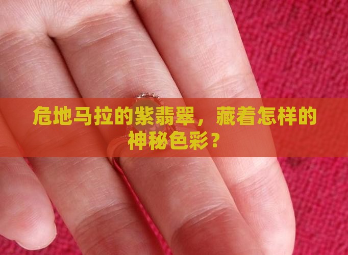 危地马拉紫翡翠