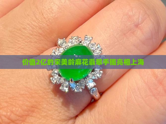 2亿翡翠手镯上海